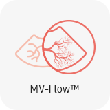 MV-Flow